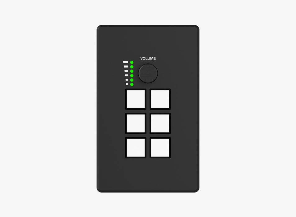 Programmable Control Panel - Model CAD-WPC06R