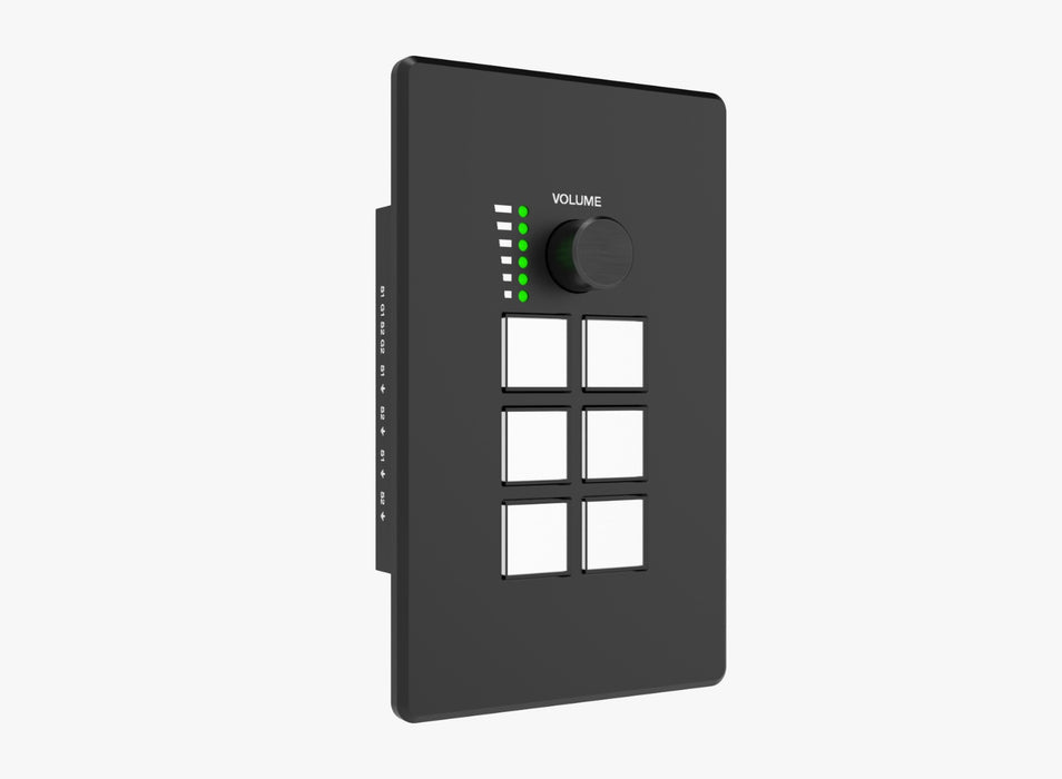 Programmable Control Panel - Model CAD-WPC06R
