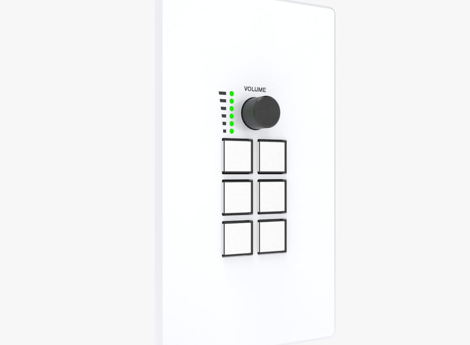 Programmable Control Panel - Model CAD-WPC06R